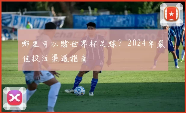 哪里可以赌世界杯足球?2024年最佳投注渠道指南