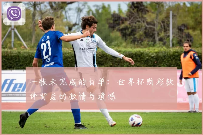 一张未完成的订单：世界杯购彩软件背后的激情与遗憾