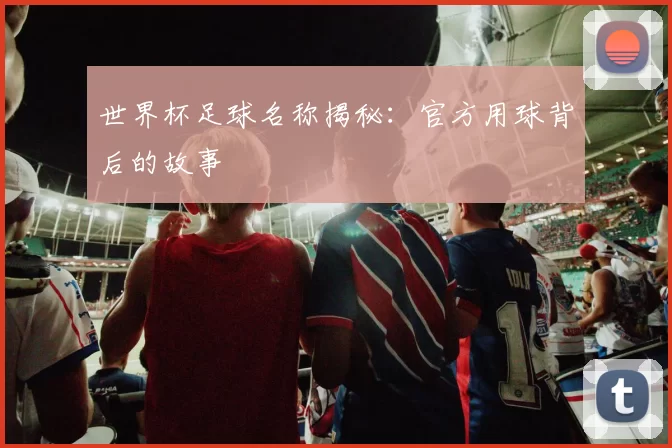 世界杯足球名称揭秘：官方用球背后的故事