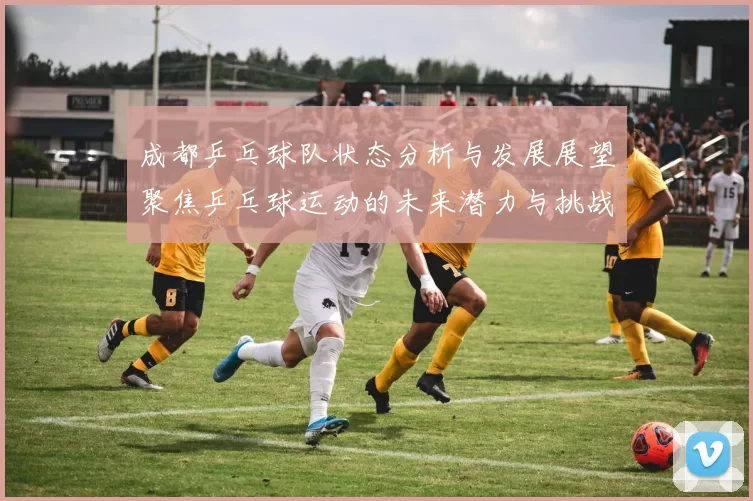 成都乒乓球队状态分析与发展展望聚焦乒乓球运动的未来潜力与挑战