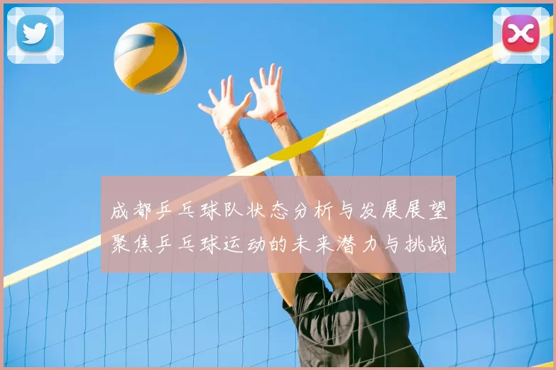 成都乒乓球队状态分析与发展展望聚焦乒乓球运动的未来潜力与挑战