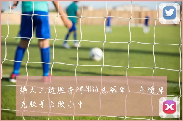 热火三连胜夺得NBA总冠军，韦德库克联手击败小牛