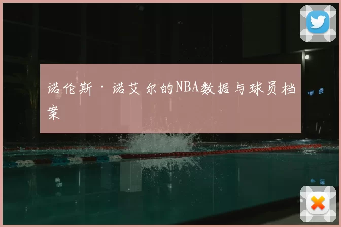 诺伦斯·诺艾尔的NBA数据与球员档案