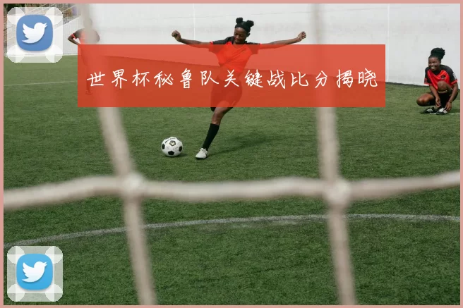 世界杯秘鲁队关键战比分揭晓